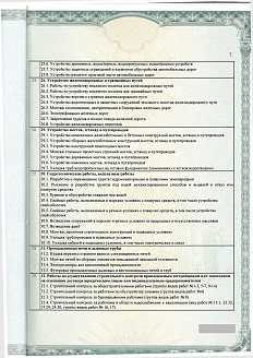 Лицензия 11